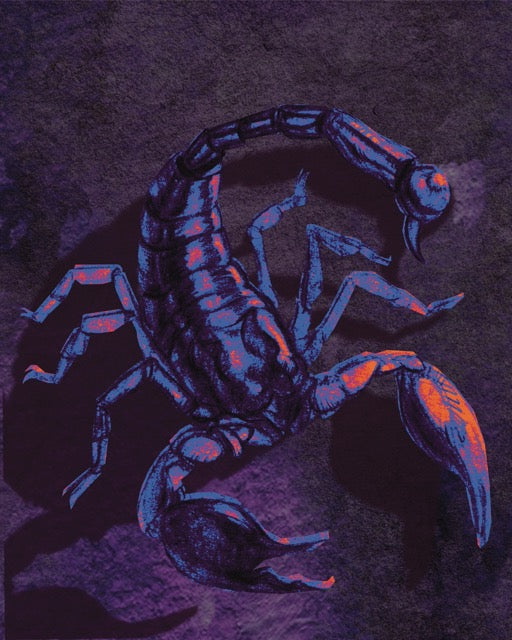 Nightcrawler Nightcrawler