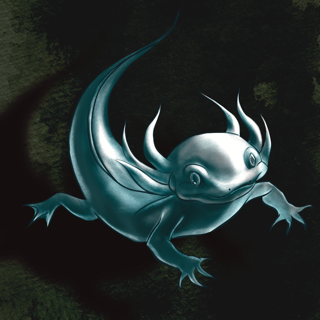 Flowstate (Digital Download)